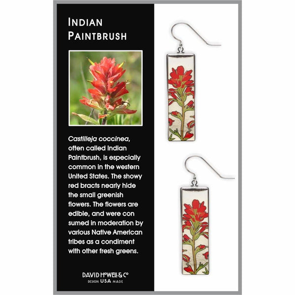Indian Paintbrush Earrings, MADE in USA