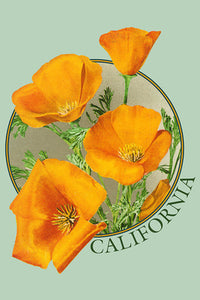 California Poppy Flower Coaster