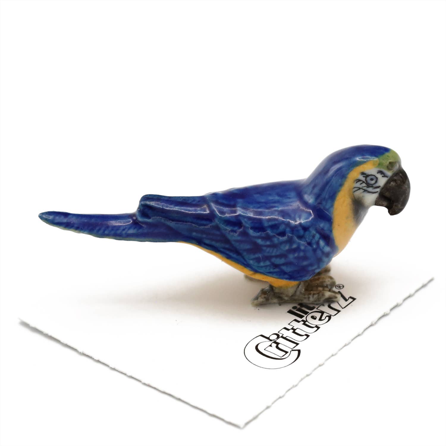 Arara Blue-and-Gold Macaw Porcelain Miniature